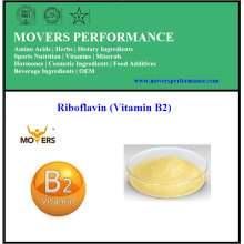 Haute qualité à faible teneur en produits alimentaires Riboflavine (vitamine B2)